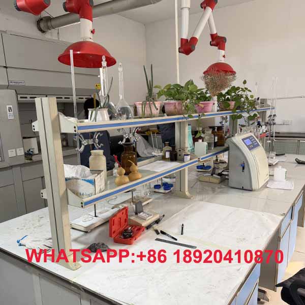 Uji kualitas laboratorium Gulungan Prepainted Authentic Steel